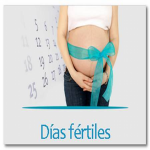 calendario de fertilidad